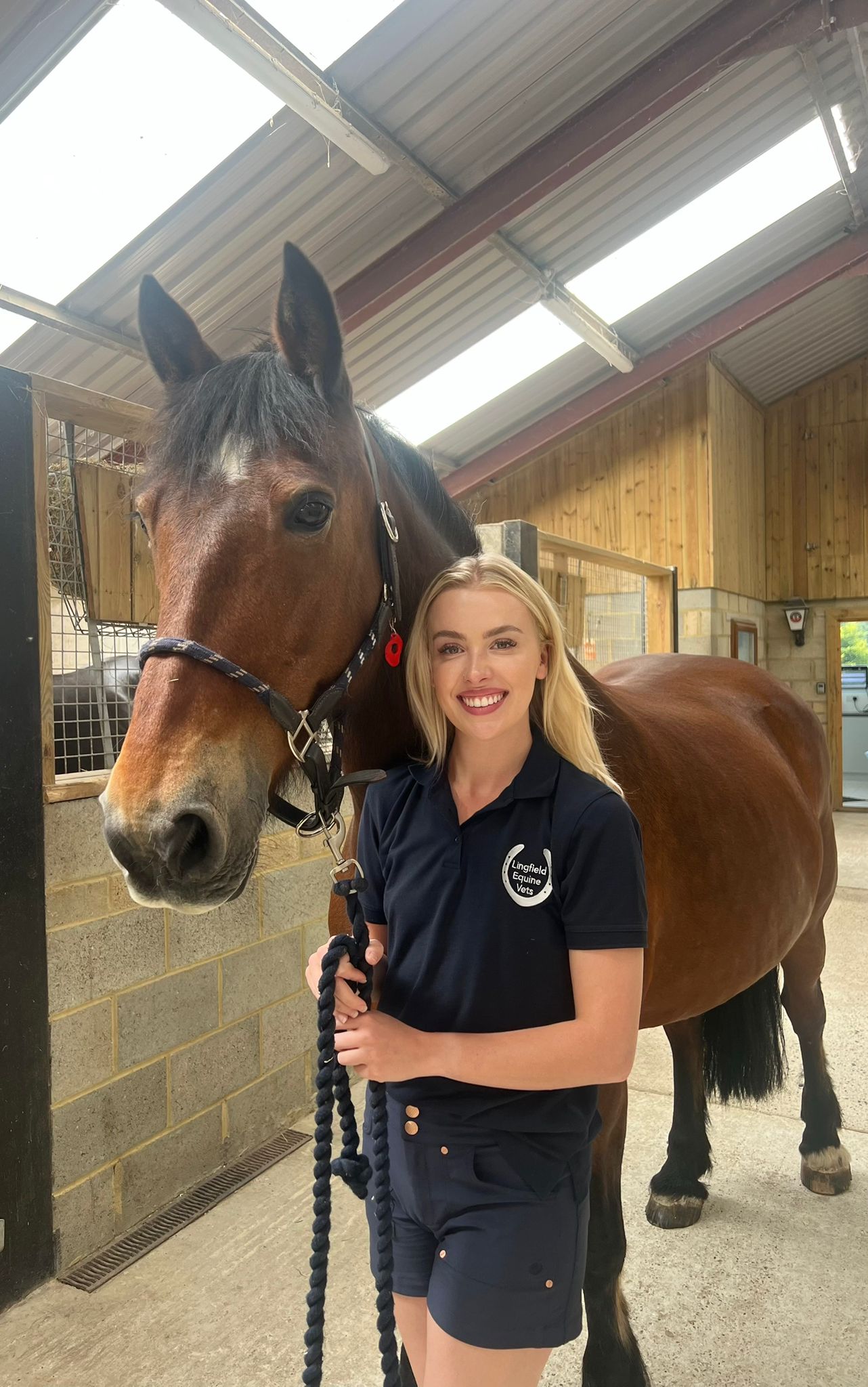 Optimising Equine Performance: Strategies for Horses Showing Signs of ...